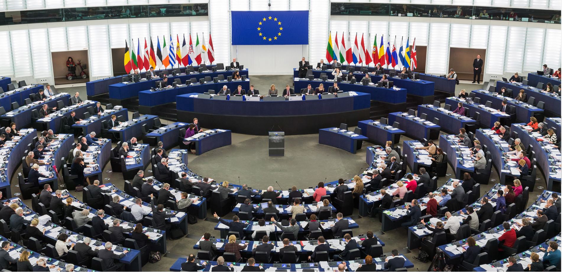 The European Parliament voted a motion that includes Eurochild's amendments  – Eurochild